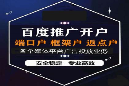 某某企业SEM推广成功案例：打造品牌营销新模式